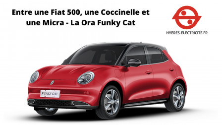 Entre une Fiat 500, une Coccinelle et une Micra - La Ora Funky Cat.jpg, juin 2022